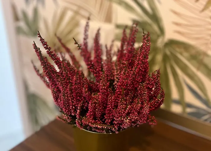 Sweet Rhome Apartman